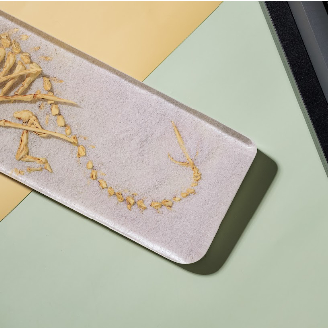 Kê tay bàn phím Xương Rồng hóa thạch, chất liệu resin bền đẹp chống cong, GMMK Pro Kê tay