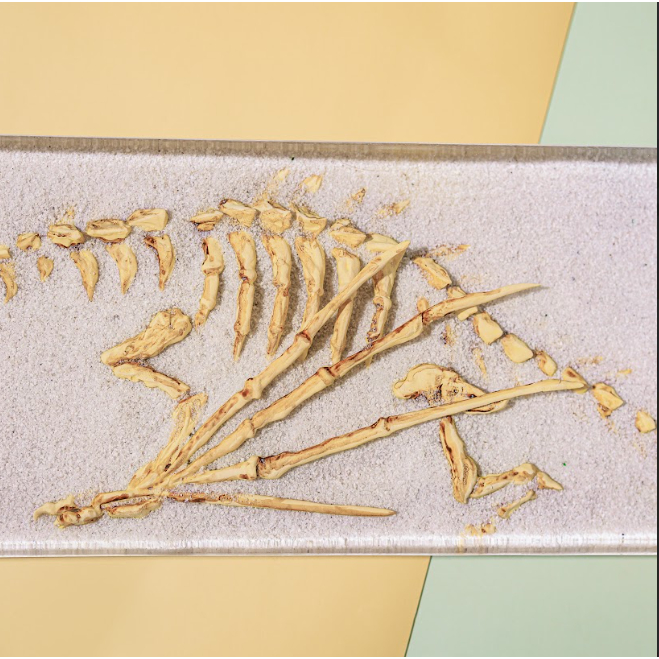 Kê tay bàn phím Xương Rồng hóa thạch, chất liệu resin bền đẹp chống cong, GMMK Pro Kê tay