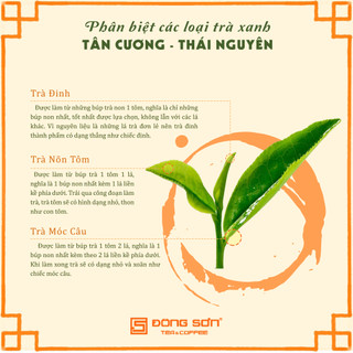 TRÀ XANH [ NÕN TÔM - TÂN CƯƠNG ] 100gr/gói - Đông Sơn