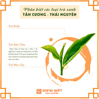 TRÀ XANH [ NÕN TÔM - TÂN CƯƠNG ] 100gr/gói - Đông Sơn