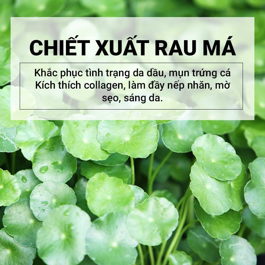 Tinh Chất Rau Má Cho Da Nhạy Cảm Skin1004 Madagascar Centella Ampoule 55ml