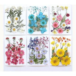 Hoa Lá Thật Ép Khô Trang Trí Album Ảnh