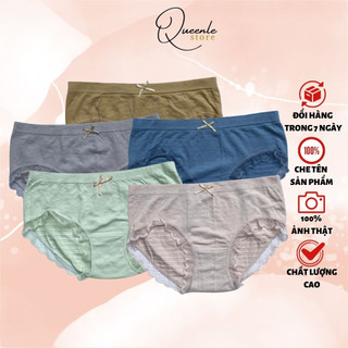 Combo 5 quần lót nữ cotton QUEENLE co giãn kháng khuẩn mềm mịn Freesize N65
