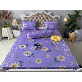 Bộ drap thun hàn quốc 4 món mát mịn
