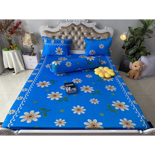 Bộ drap thun hàn quốc 4 món mát mịn