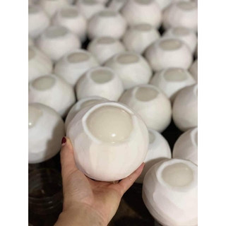 thạch dừa bổ miếng