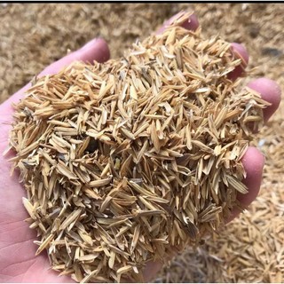 2kg Vỏ trấu khô/ Vỏ trấu hun trồng rau, cây cảnh