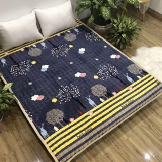  Thảm Nhung trải giường ngủ cao cấp nhất 1m6x2m và 1m8x2m 