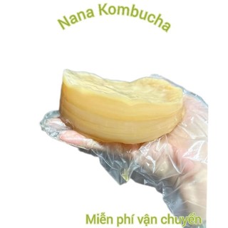 Kombucha _ Nấm Thủy Sâm_ Scopy + Nước Mồi