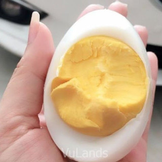 Trứng Ngỗng- Hoả Tốc tphcm- Trứng Ngỗng được bảo quản nhiệt độ thấp