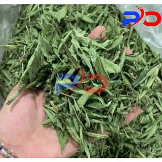 Lá đinh lăng khô thảo dược làm trà uống, lót gối