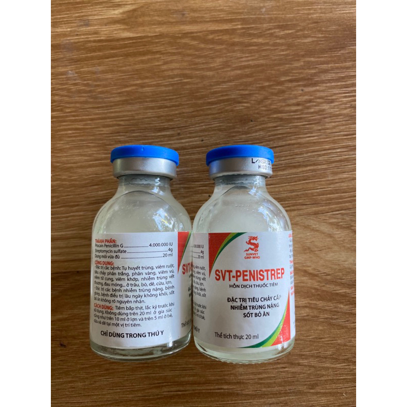 Svt-penstrep. khắc tinh tụ huyết trùng, tiêu chảy