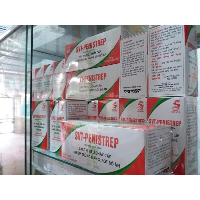 Svt-penstrep. khắc tinh tụ huyết trùng, tiêu chảy