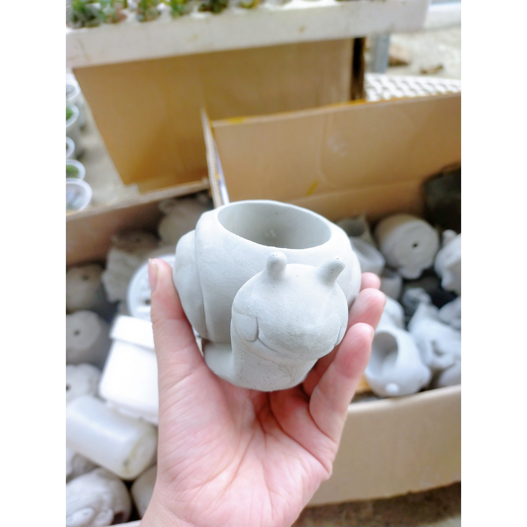 Chậu Xi Măng Trồng Cây Hình Thú Con Ốc Sên