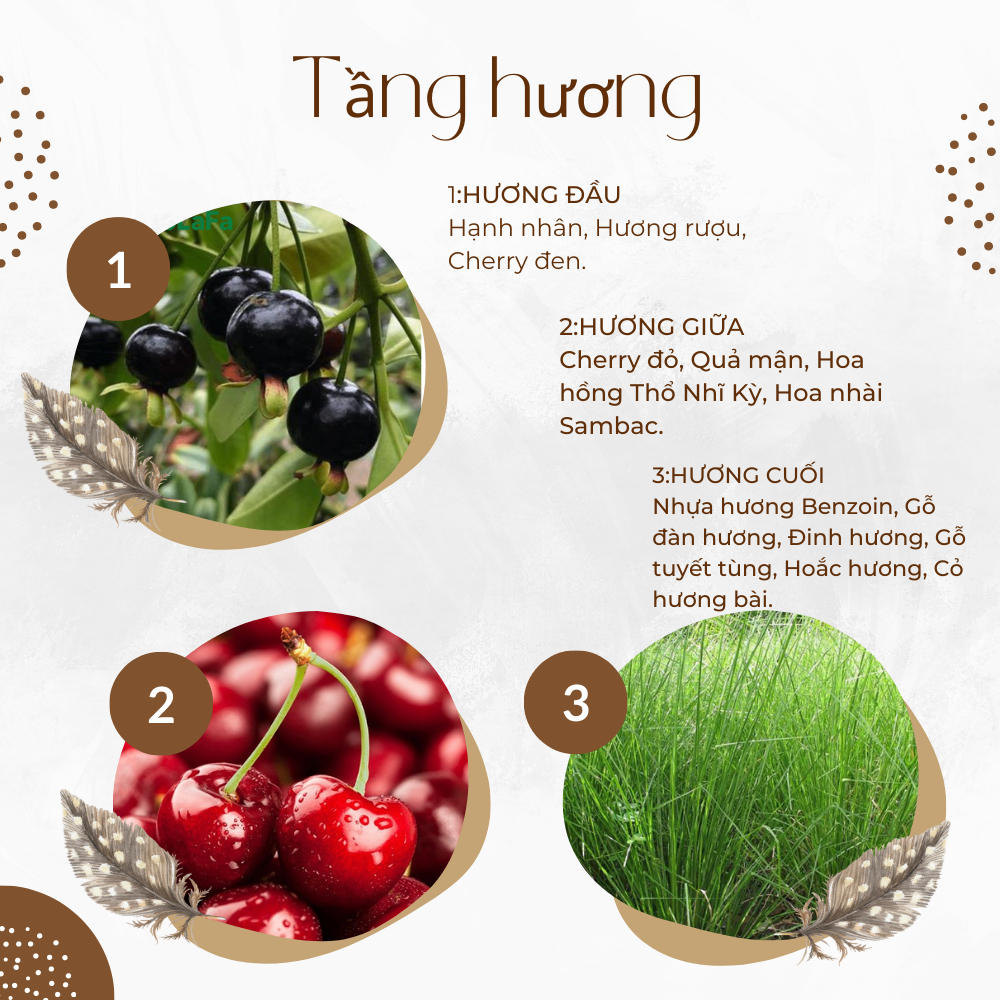 Nước hoa nữ Tom Ford Lost Cherry chiết 10ml thơm lâu quyến rũ-Hakata Official