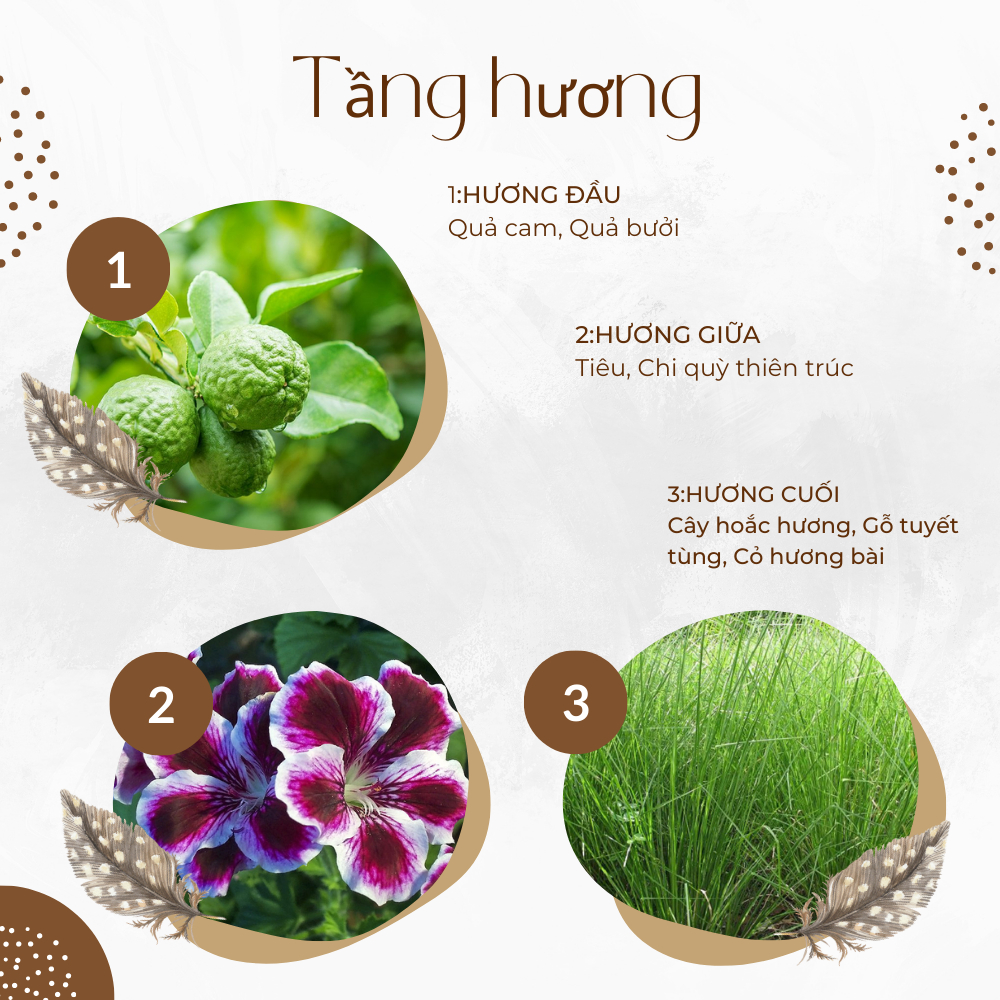 Nước Hoa nam Terre D’Hermes Hermes 10ml  hiện đại, nam tính, mạnh mẽ- Hakata Officical