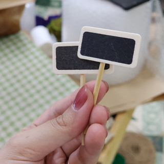 Bảng Tên Gỗ Mini căm chậu cây trang trí
