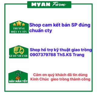 Đậu bắp Miền Tây 50g