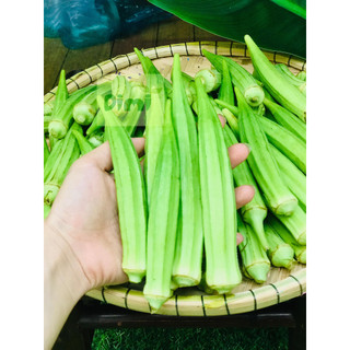 Đậu bắp Miền Tây 50g