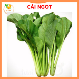 Hạt giống rau cải ngọt 20 gram, hạt giống chuẩn tỉ lệ nảy mầm cao