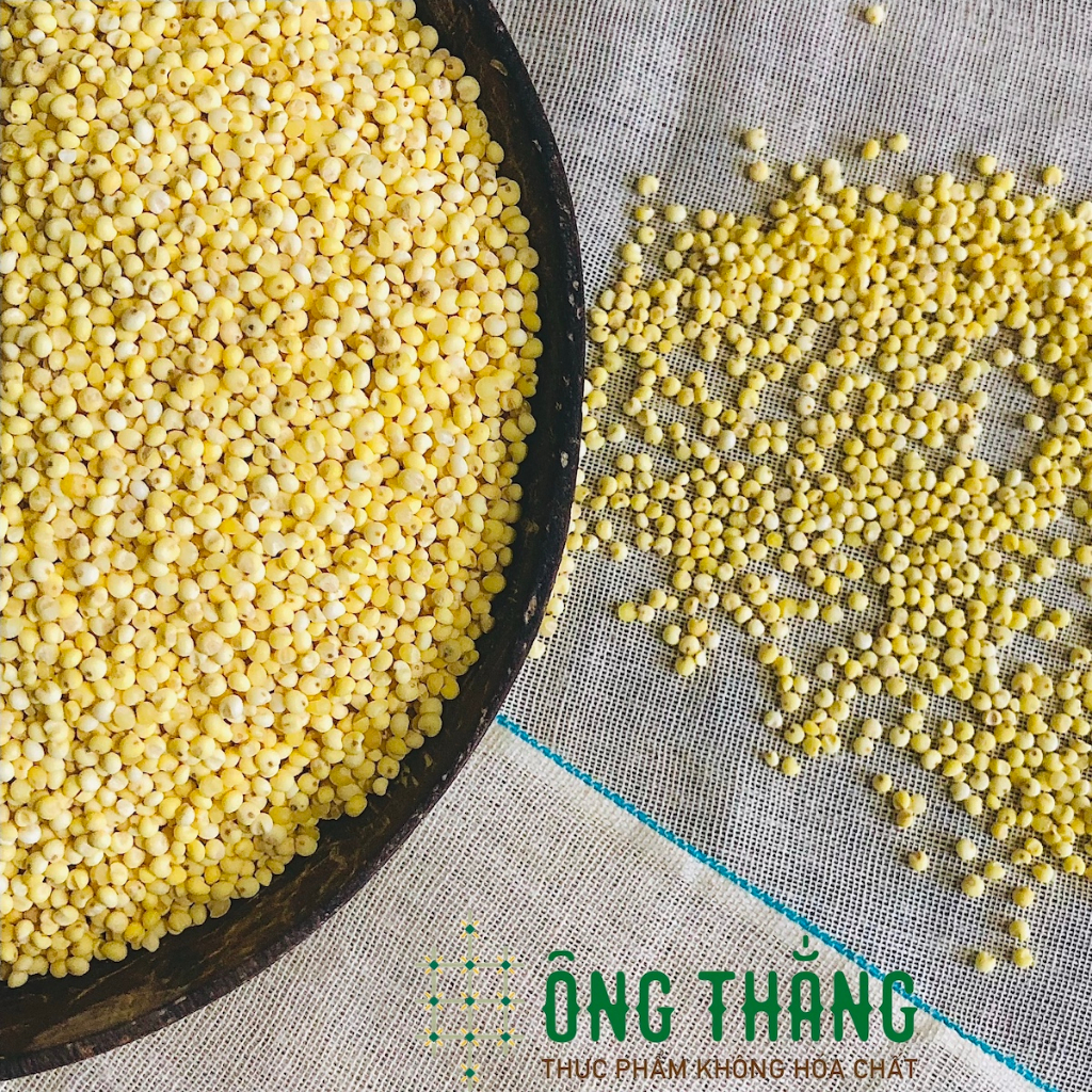 Hạt kê nếp ÔNG THẮNG - 500G