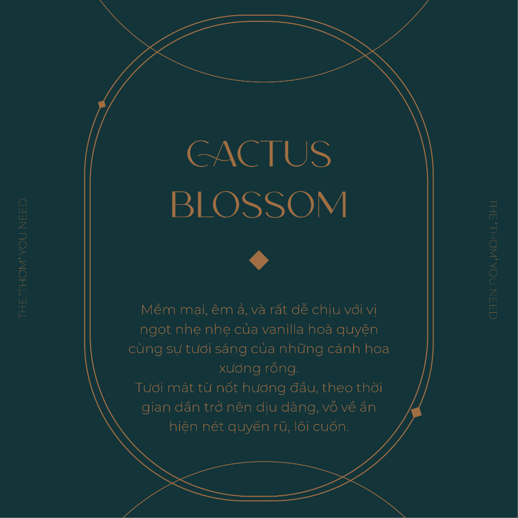 CACTUS BLOSSOM | Nến thơm phòng 3 bấc 3 tim 411gr Bath and Body Works 3 Wicks Scented Candles Nến BBW