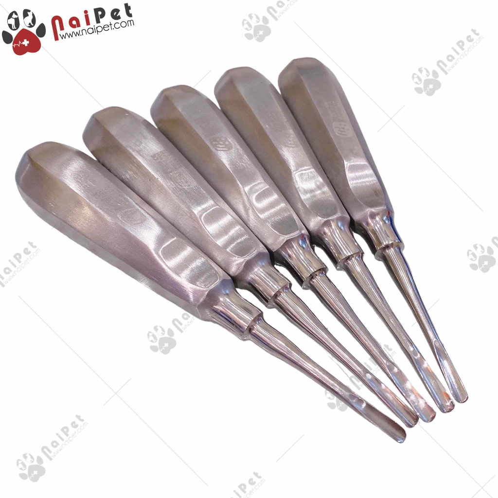 Dụng Cụ Nạy Bẩy Nhổ Răng Chuyên Dụng Pakistan RHM001