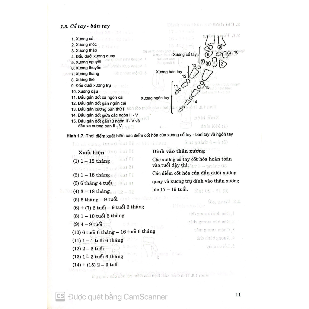 Benito - Sách - Giải phẫu X-quang