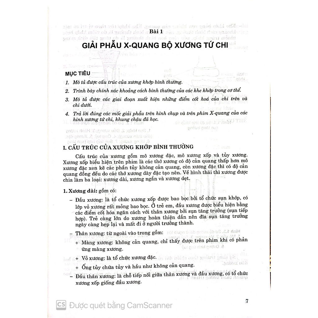 Benito - Sách - Giải phẫu X-quang