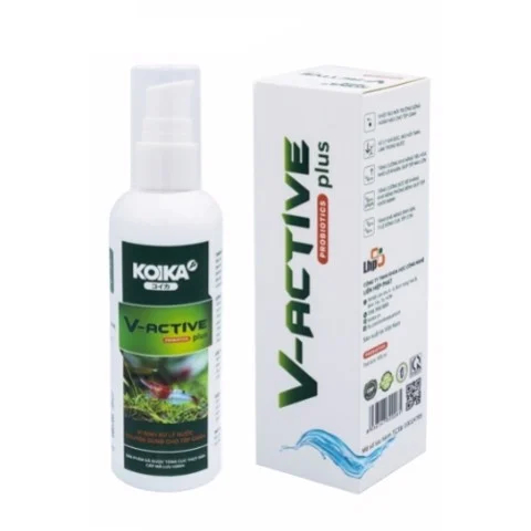 Vi Sinh Koika V-ACTIVE PLUS 150ml