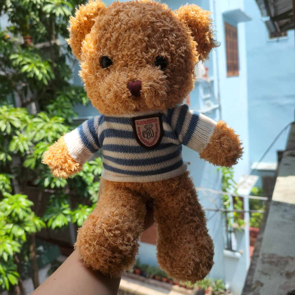 Gấu bông TEDDY BEAR cao cấp cho bé, lông xù mịn nhiều màu sắc xinh xắn 30cm