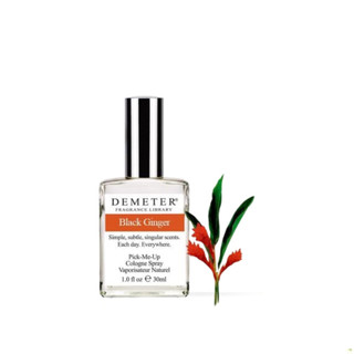 ⁂︎ 10ml┊ Nước hoa BLACK GINGER by Demeter Cologne - 10мl - #🄽🄾.🄸