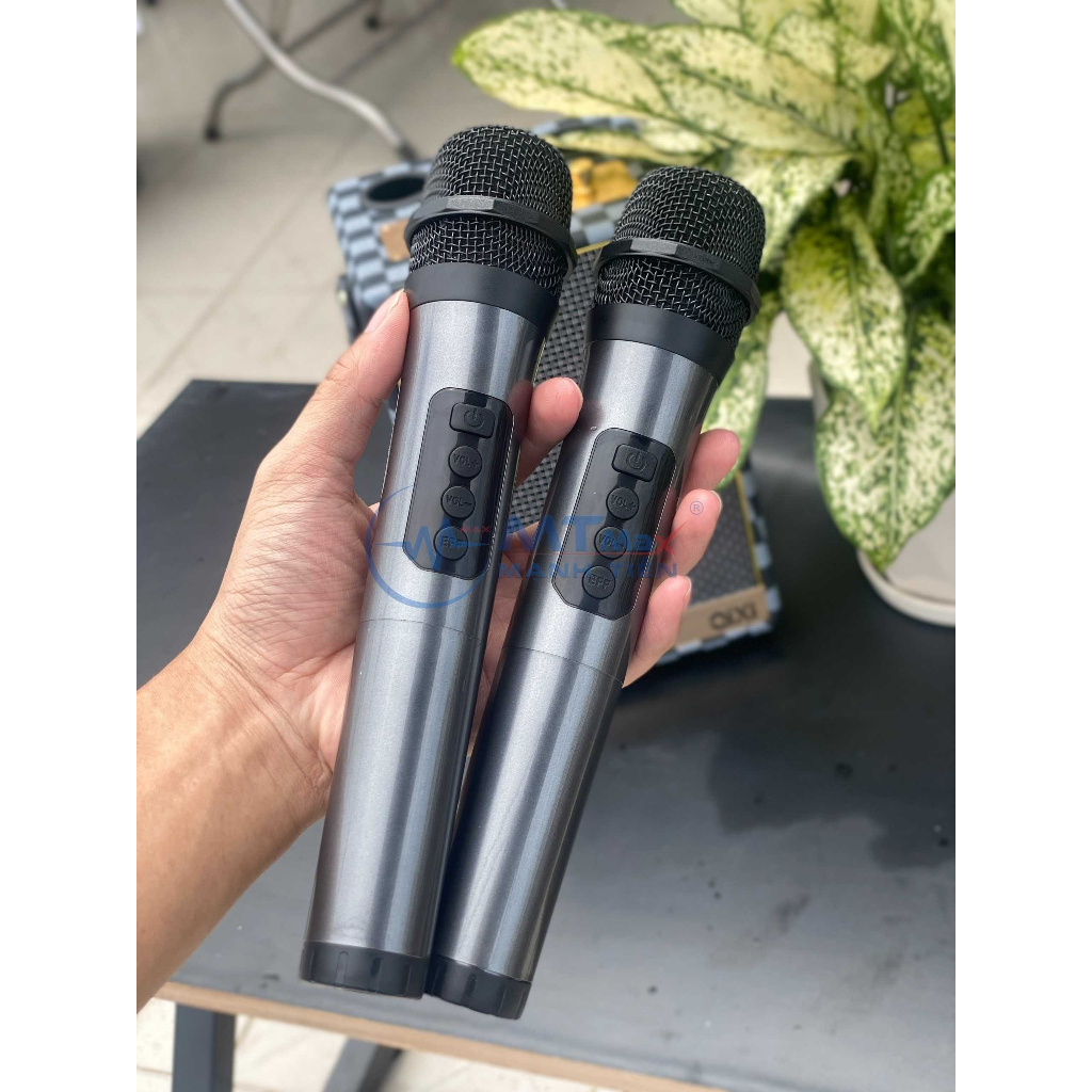 Loa Bluetooth Karaoke Qixi SK2050 - Bass Êm Pin 3.600mAh Kèm 2 Micro Không Dây