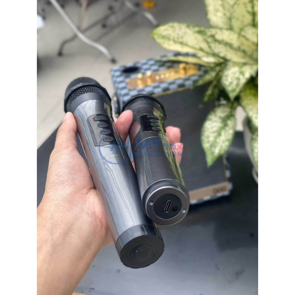 Loa Bluetooth Karaoke Qixi SK2050 - Bass Êm Pin 3.600mAh Kèm 2 Micro Không Dây