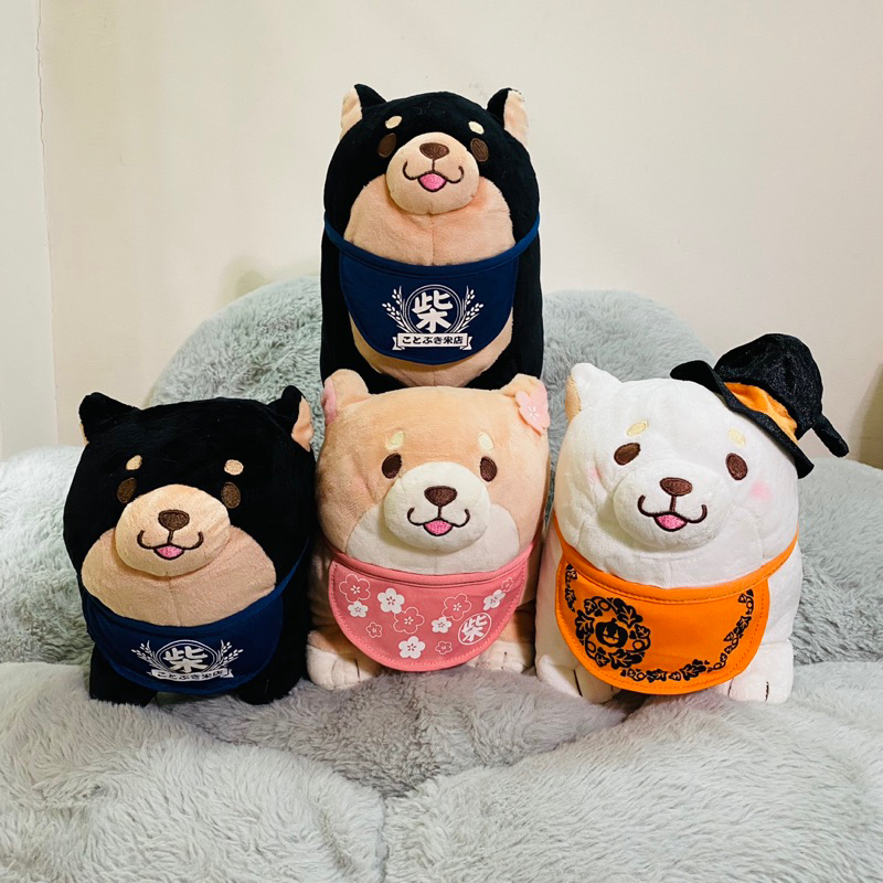 Những chú chó shiba đáng yêu