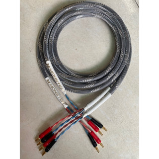 Dây loa Monster Mỹ đầu bắp chuối