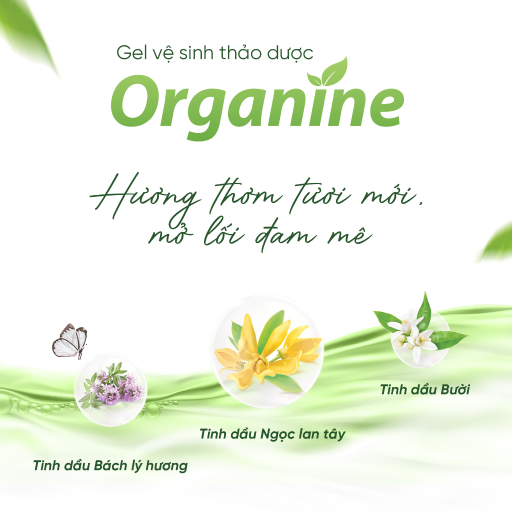 Dung Dịch Vệ Sinh Thảo Dược Organine 3in1 Sáng Hồng, Mềm Mịn, Kháng Khuẩn Tự Nhiên Tất Thành Pharma