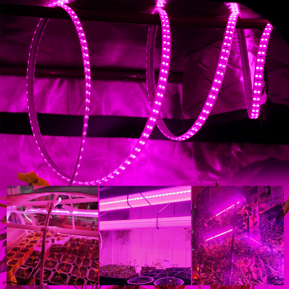 Đèn LED Trồng Cây Trong Nhà Có Thể Uốn Cong 220V 180D Đèn Led Kích Thích Tăng Trưởng Cho Cây Trồng 2/3/4/5/6/8/10/15M