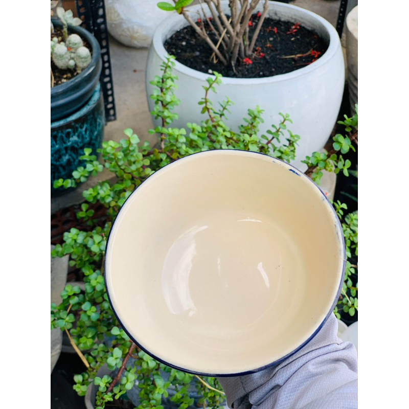 Tô Hoa tiết 14cm Hàng Đẹp Cao Cấp