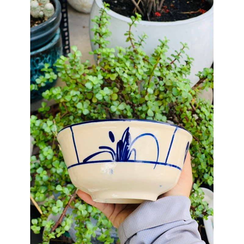 Tô Hoa tiết 14cm Hàng Đẹp Cao Cấp