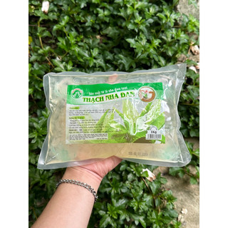 Thạch nha đam đại lộc