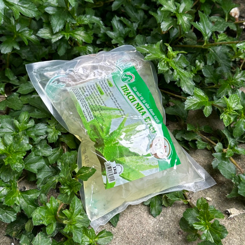 Thạch Nha Đam Đại Lộc