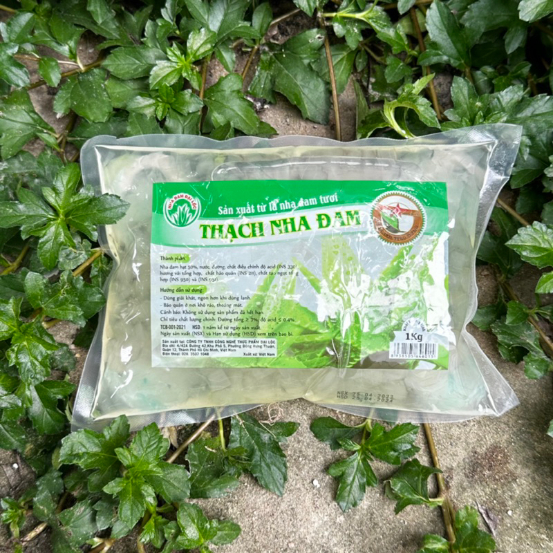 Thạch Nha Đam Đại Lộc