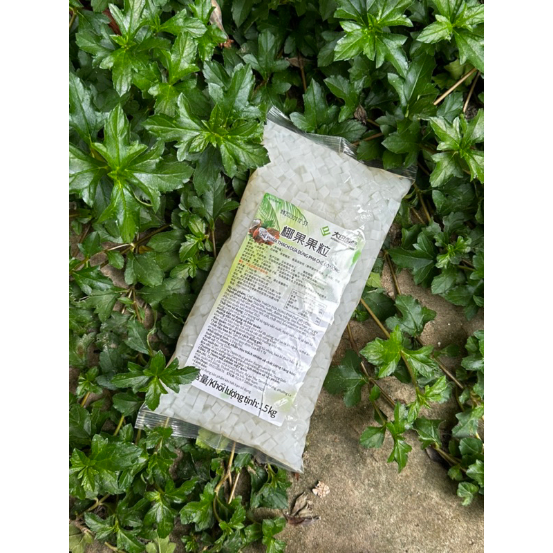 Thạch Dừa Đài Loan Daidu