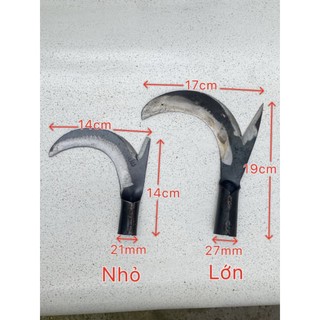 Lưỡi liềm hái dừa, cắt tỉa cành