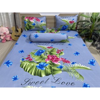 Thun 3d hàn quốc m6×2m