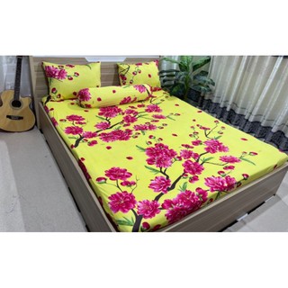 Thun 3d hàn quốc m6×2m