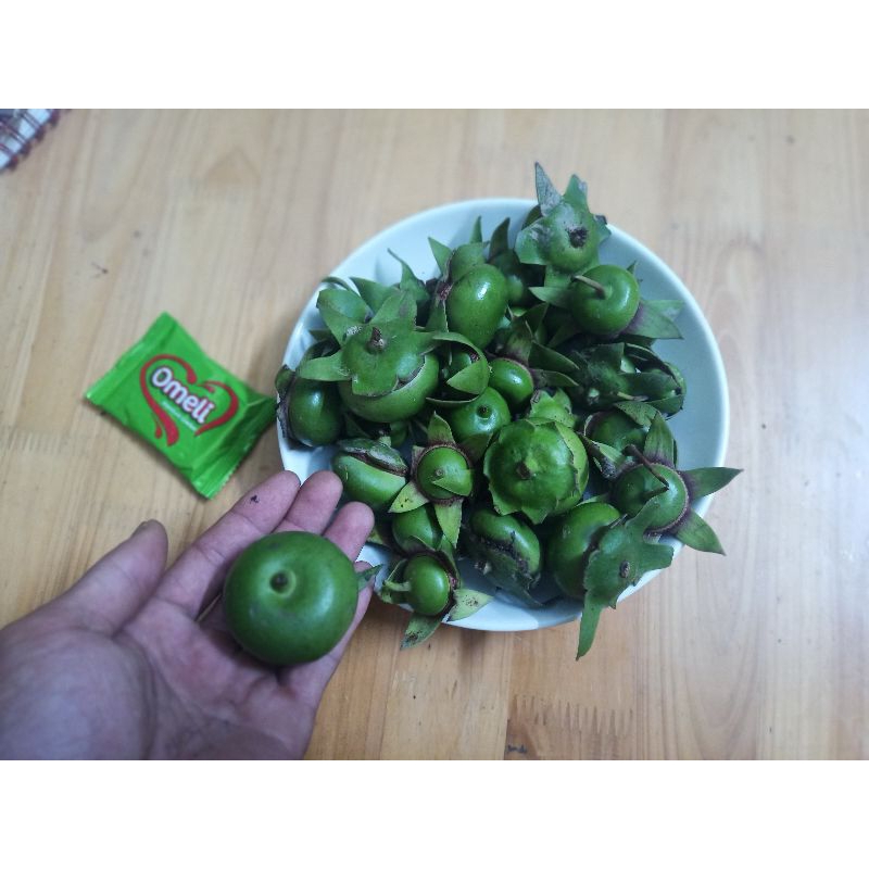 Cây Cỏ Vòi Voi Khô 01KG