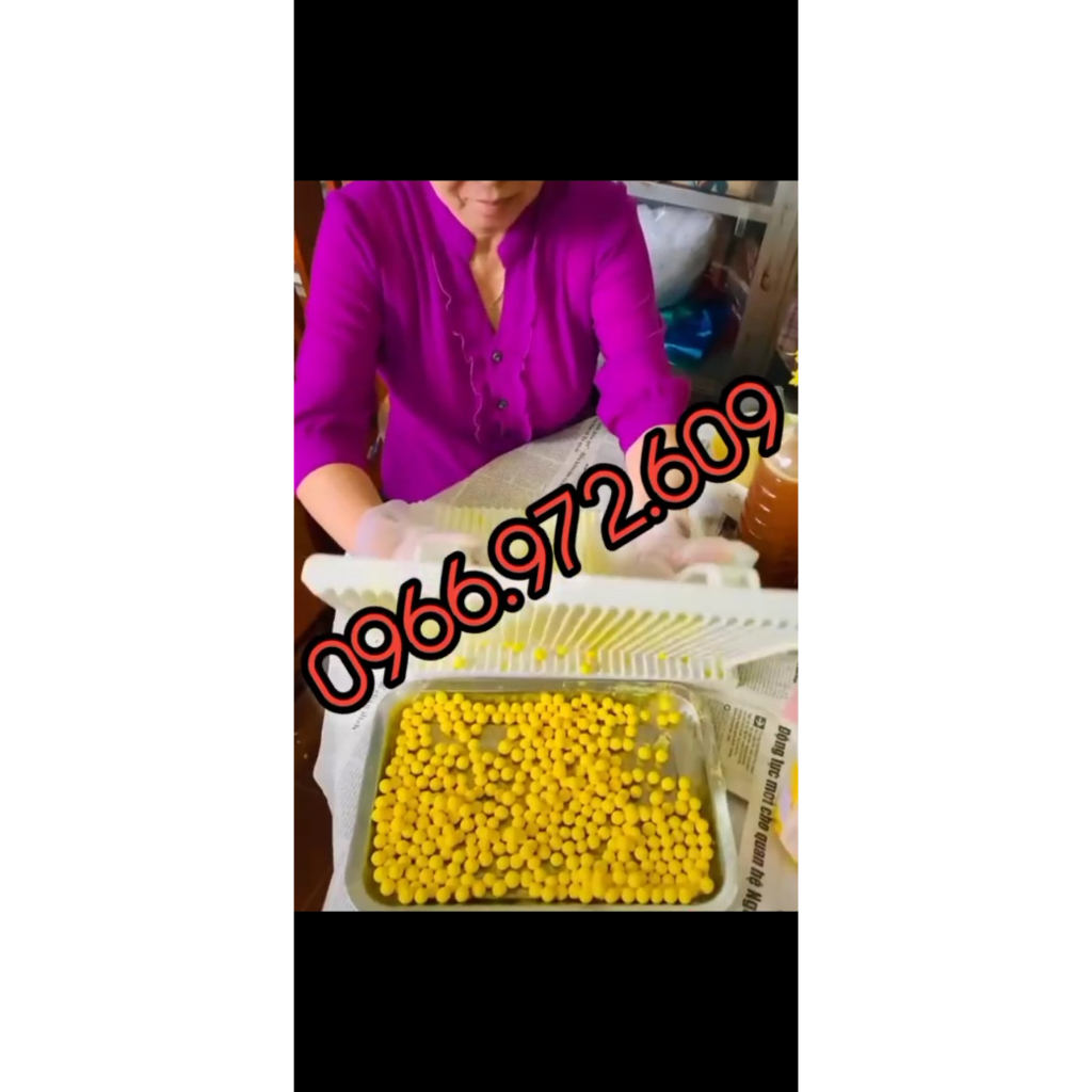 Máy làm hạt trân châu và vo viên hoàn thuốc đông y, viên tinh nghệ bột mật ong ST106