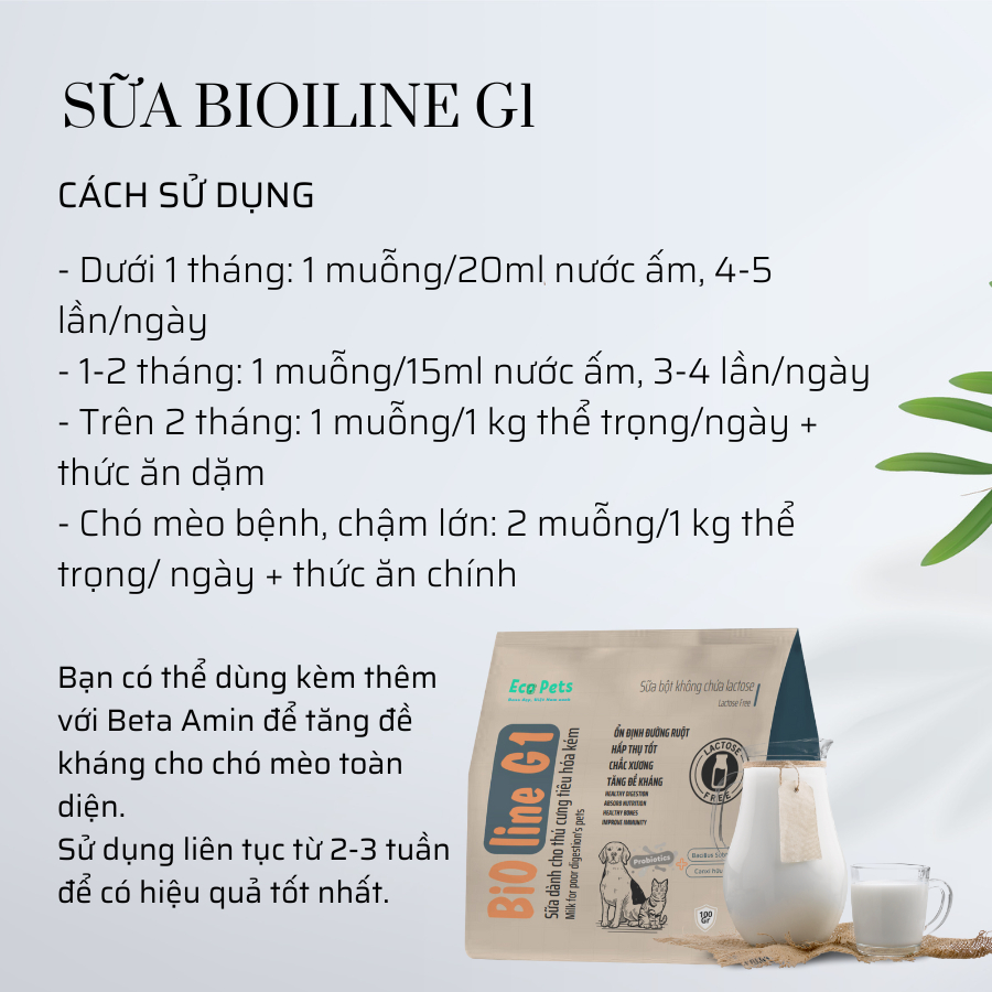 Sữa bột cao cấp không chứa lactose BIOLINE G1 ECOPETS dành cho chó mèo bầu tiêu hoá kém - 100gr